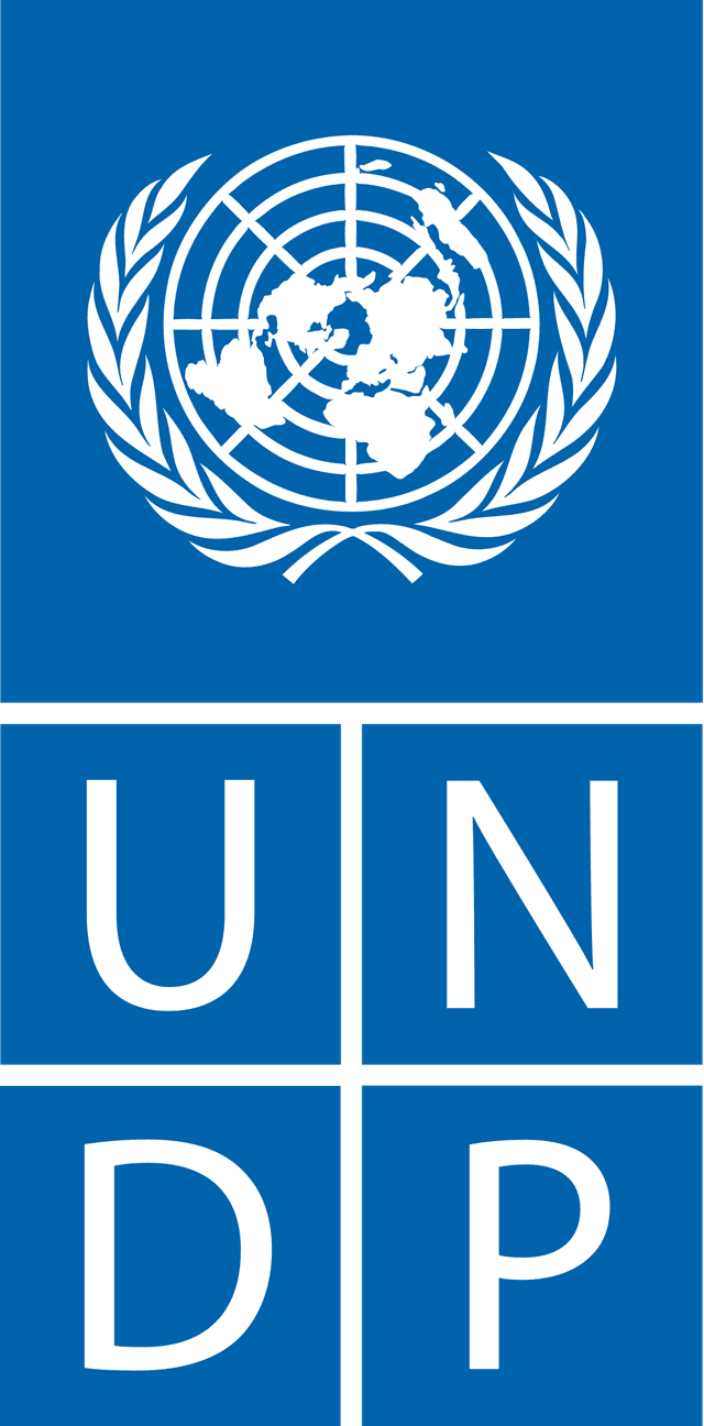 UNDP Environmental Partner
